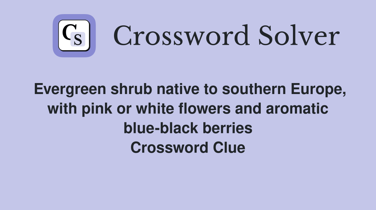 Evergreen shrub native to southern Europe, with pink or white flowers